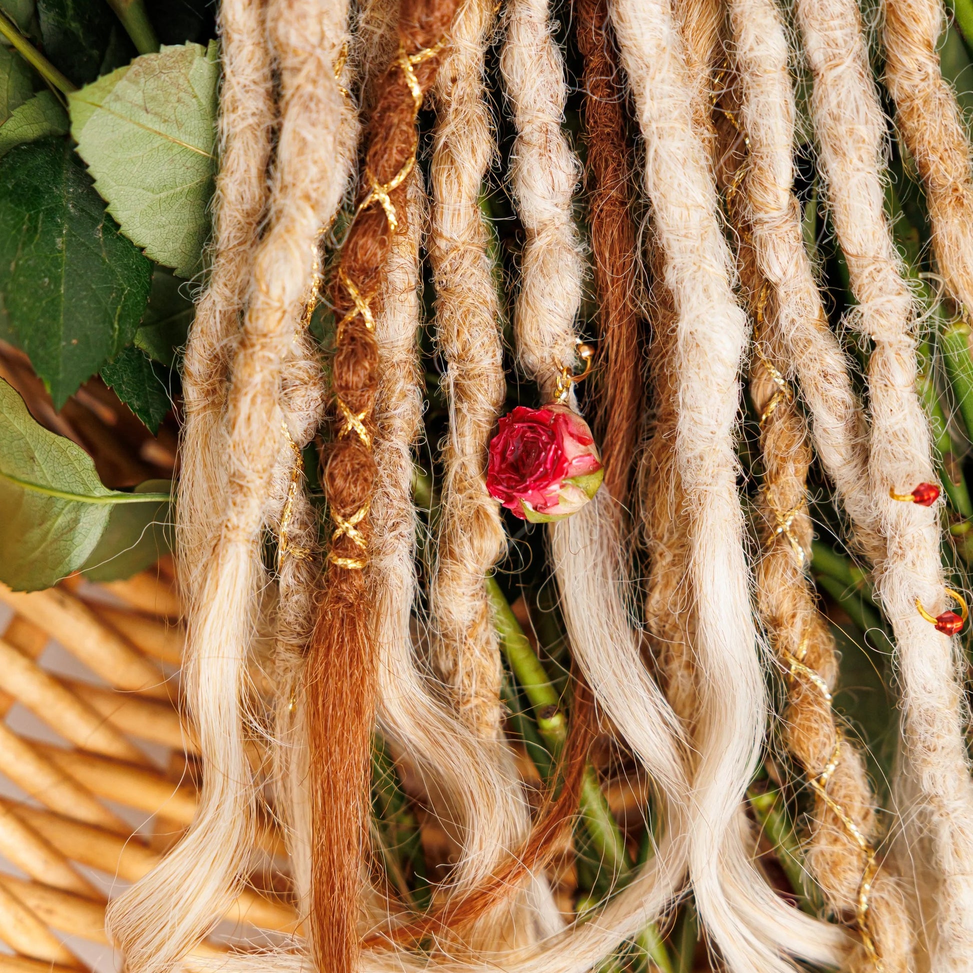 soft ombré blend of light blonde, warm blonde, and natural red braids glowing in golden sunlight beside rose petals